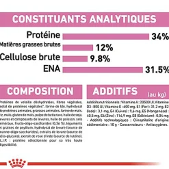 Royal Canin - Croquettes Kitten Sterilised pour Chaton - 400g