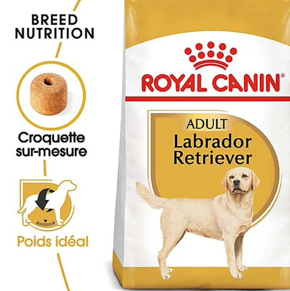 Royal Canin - Croquettes Labrador pour Chien Adulte