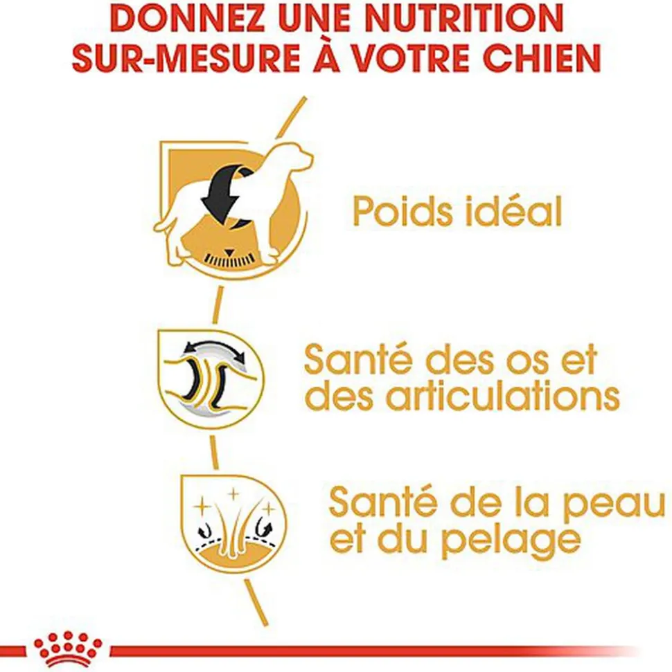 Royal Canin - Croquettes Labrador pour Chien Adulte