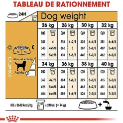 Royal Canin - Croquettes Labrador pour Chien Adulte