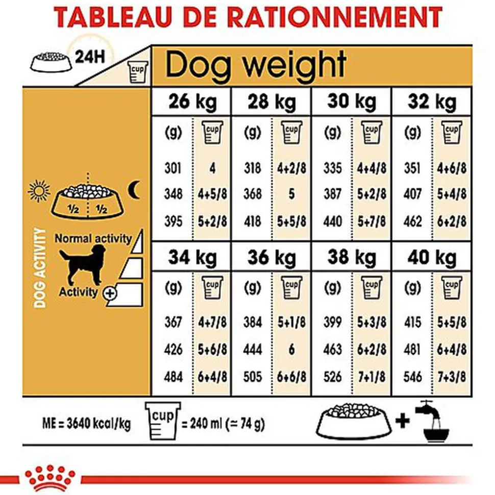Royal Canin - Croquettes Labrador pour Chien Adulte