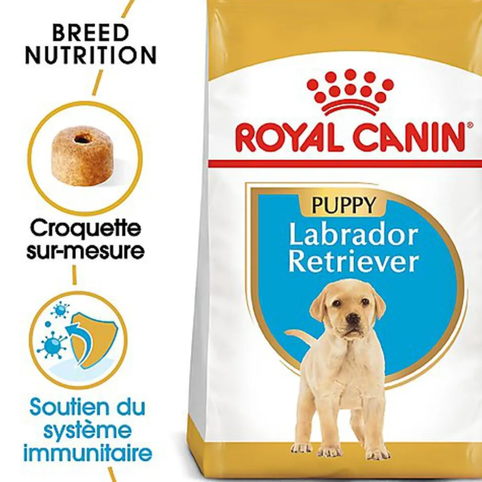 Royal Canin - Croquettes Labrador Junior pour Chiot - 12Kg