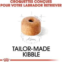 Royal Canin - Croquettes Labrador Junior pour Chiot - 12Kg