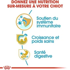 Royal Canin - Croquettes Labrador Junior pour Chiot - 12Kg