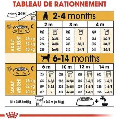 Royal Canin - Croquettes Labrador Junior pour Chiot - 12Kg