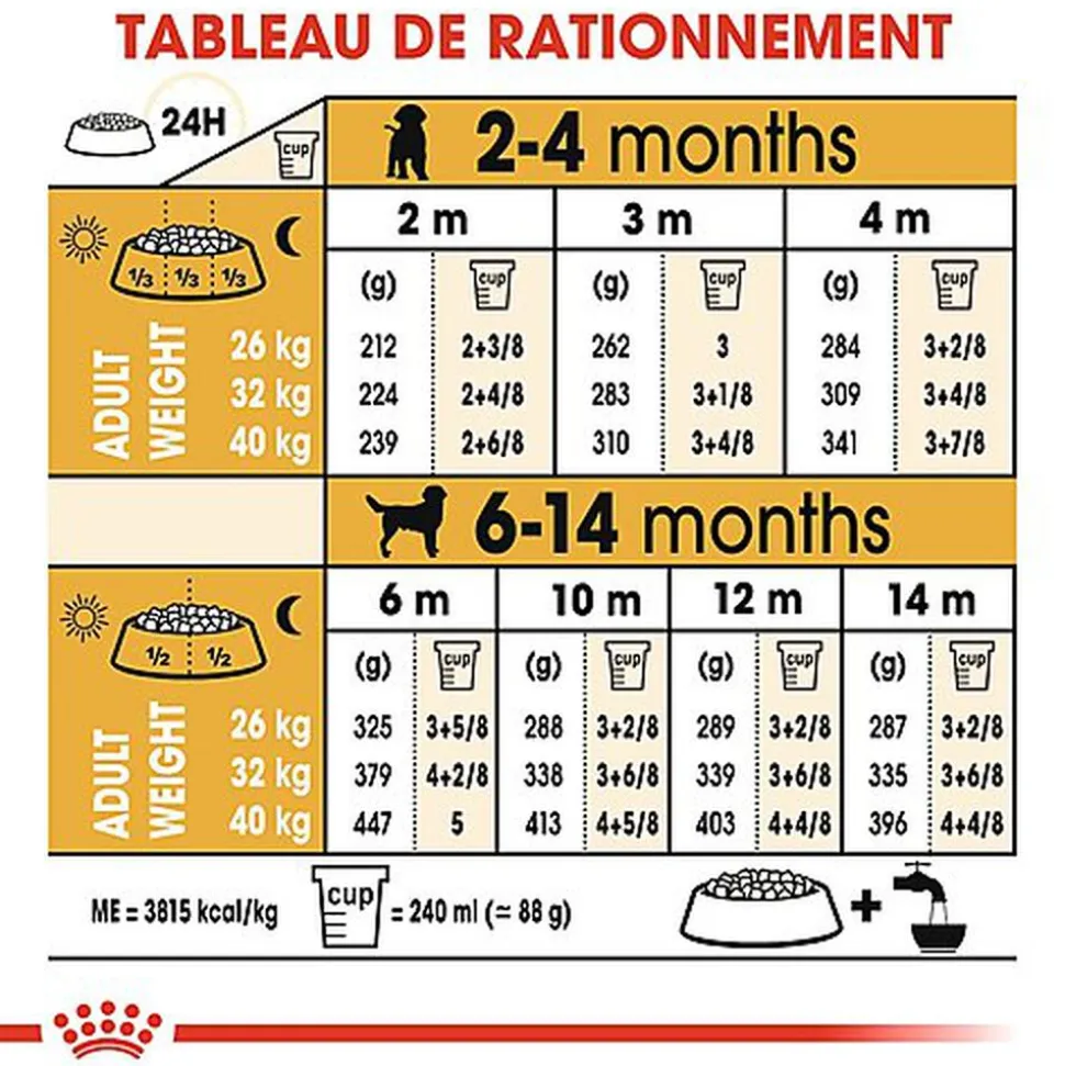 Royal Canin - Croquettes Labrador Junior pour Chiot - 12Kg