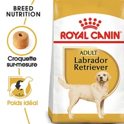 Royal Canin - Croquettes Labrador Adult pour Chiens de plus de 15 Mois - 3Kg