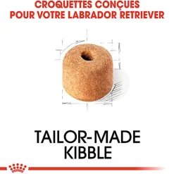 Royal Canin - Croquettes Labrador Adult pour Chiens de plus de 15 Mois - 3Kg
