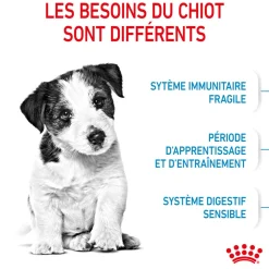 Royal Canin - Croquettes Mini Puppy pour Chiot de 2 à 10 mois