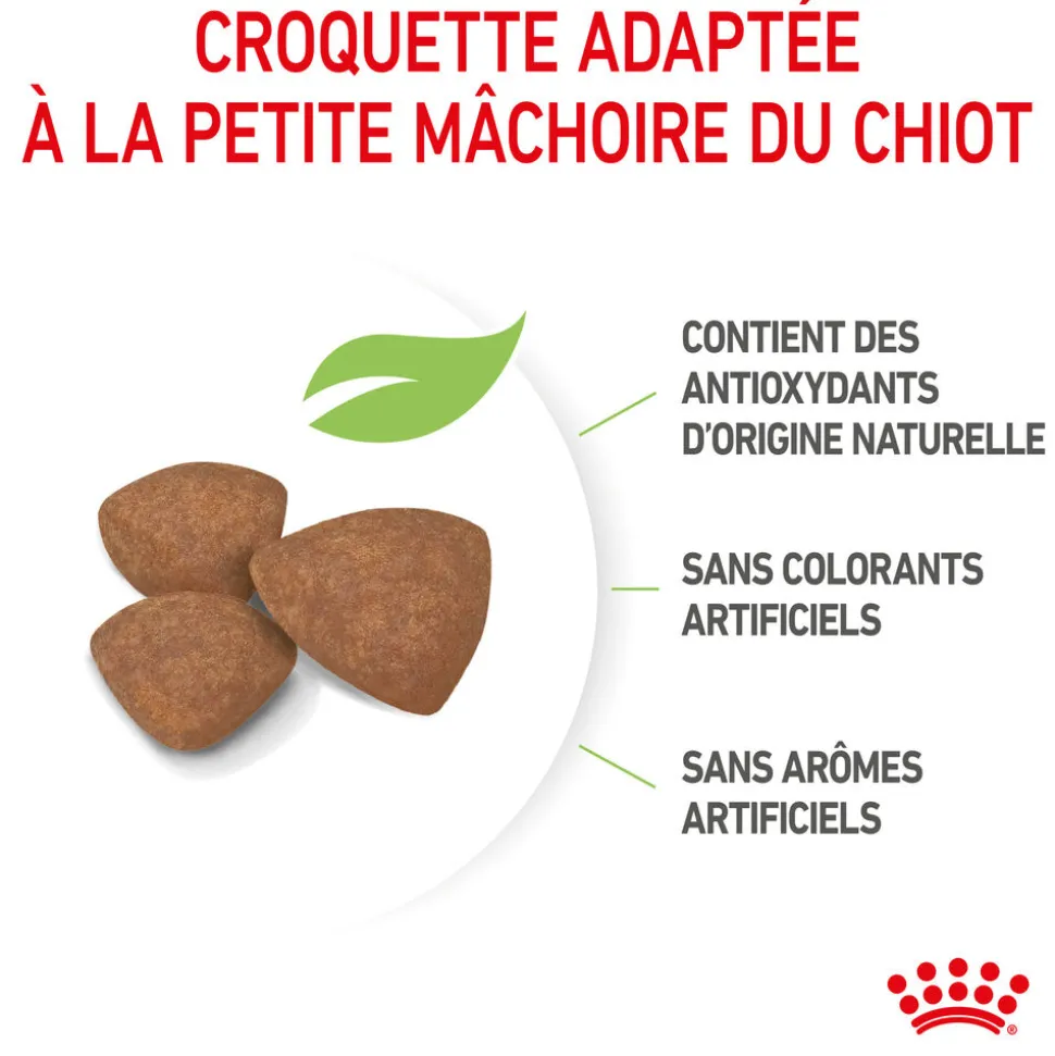 Royal Canin - Croquettes Mini Puppy pour Chiot de 2 à 10 mois