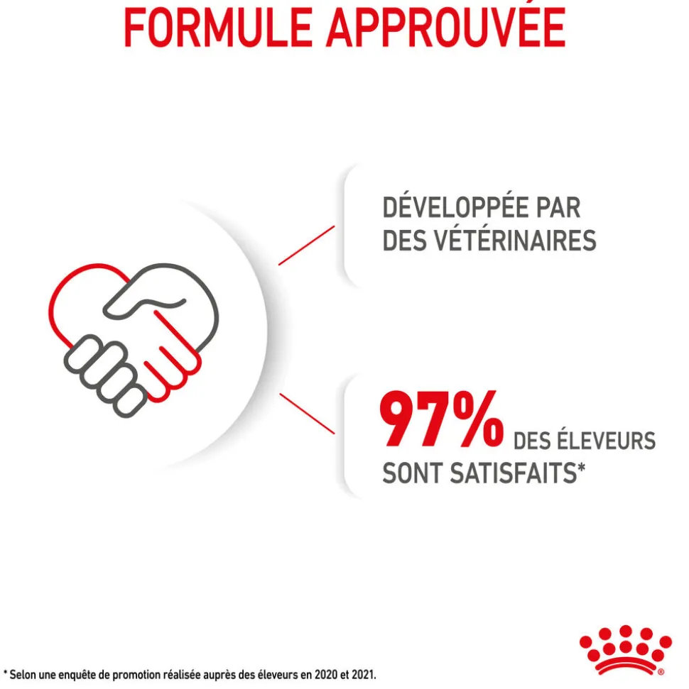 Royal Canin - Croquettes Mini Puppy pour Chiot de 2 à 10 mois