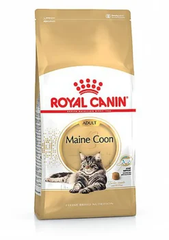 Royal Canin - Croquettes Maine Coon pour Chat Adulte