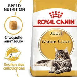 Royal Canin - Croquettes Maine Coon pour Chat Adulte
