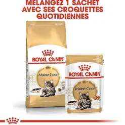 Royal Canin - Croquettes Maine Coon pour Chat Adulte