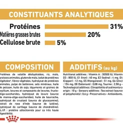 Royal Canin - Croquettes Maine Coon pour Chat Adulte