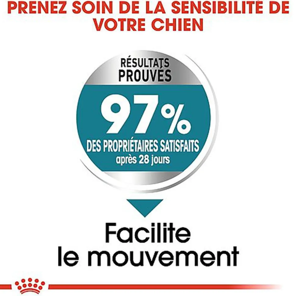 Royal Canin - Croquettes MAXI JOINT CARE pour Chien