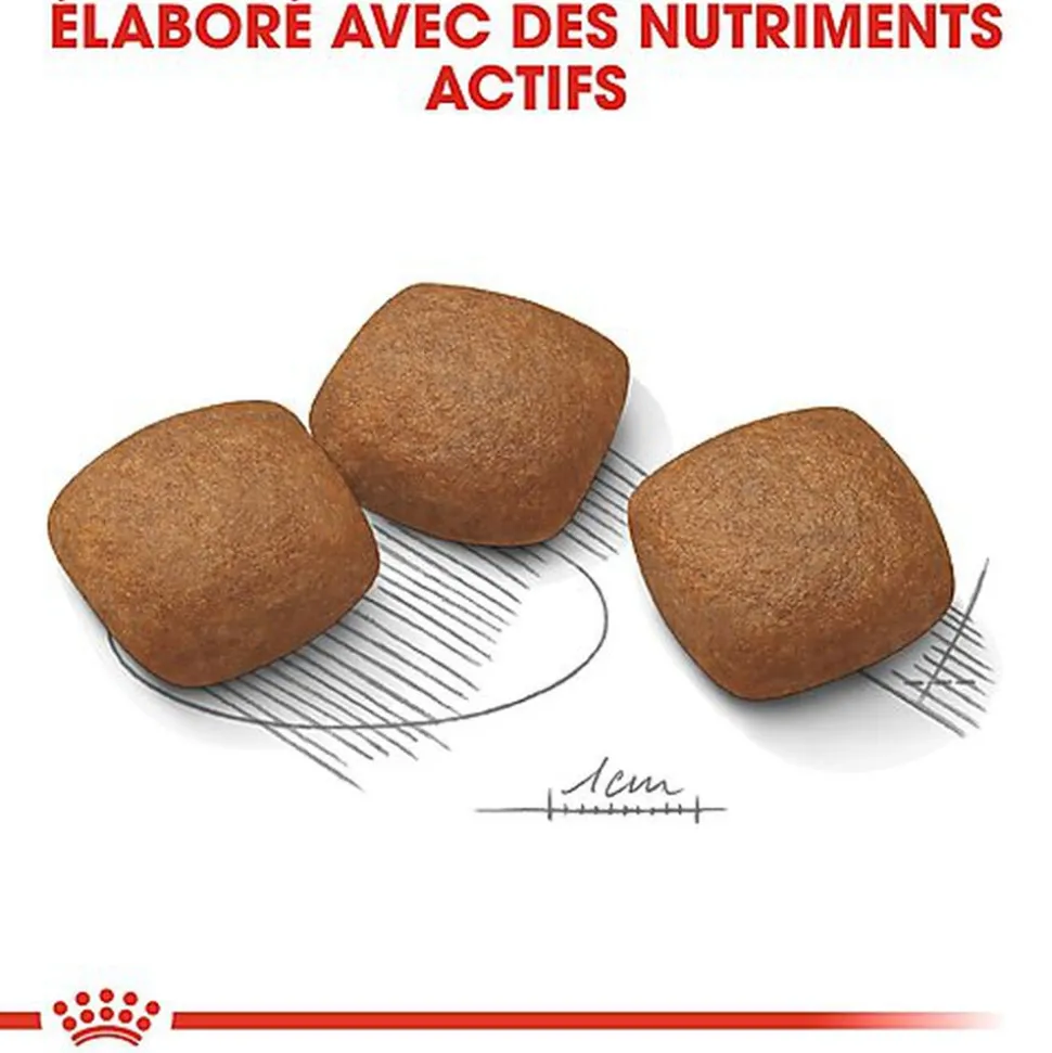 Royal Canin - Croquettes MAXI JOINT CARE pour Chien