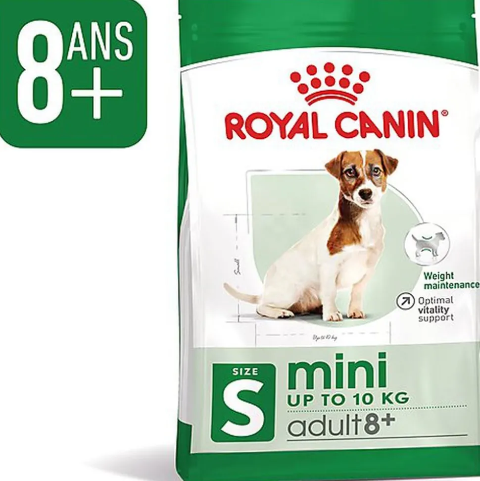 Royal Canin - Croquettes MINI ADULT 8+ POUR CHIEN DE PETITE TAILLE - 800G