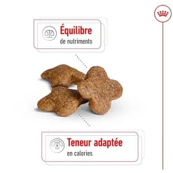 Royal Canin - Croquettes MINI ADULT 8+ POUR CHIEN DE PETITE TAILLE - 800G