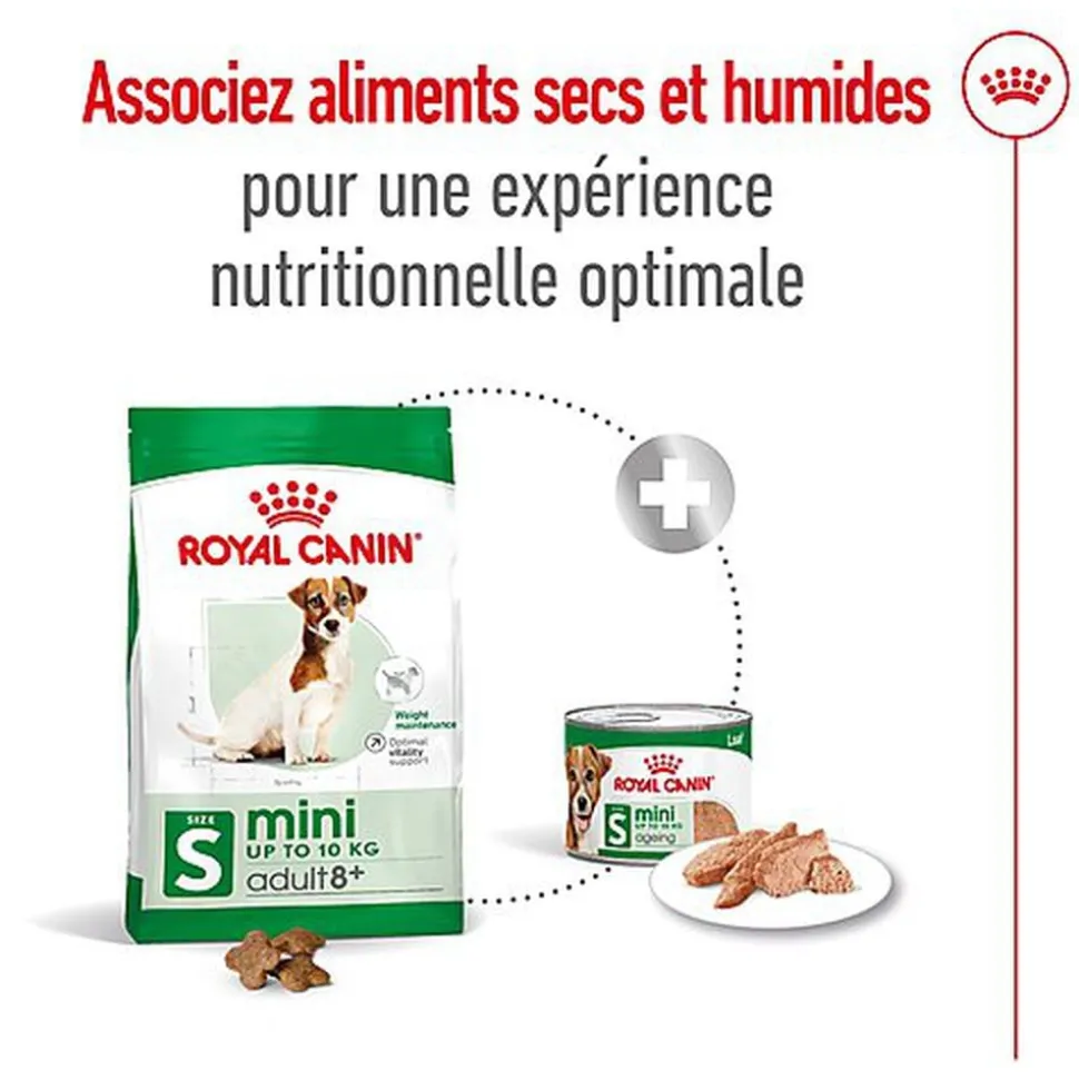 Royal Canin - Croquettes MINI ADULT 8+ POUR CHIEN DE PETITE TAILLE - 800G
