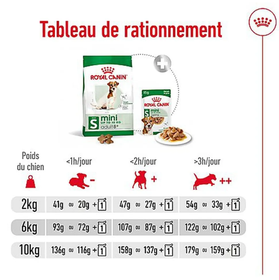 Royal Canin - Croquettes MINI ADULT 8+ POUR CHIEN DE PETITE TAILLE - 800G
