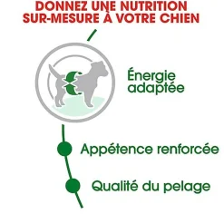 Royal Canin - Croquettes Mini Adult pour Chien de Petite Taille