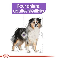 Royal Canin - Croquettes Medium Adult Sterilised pour Chien