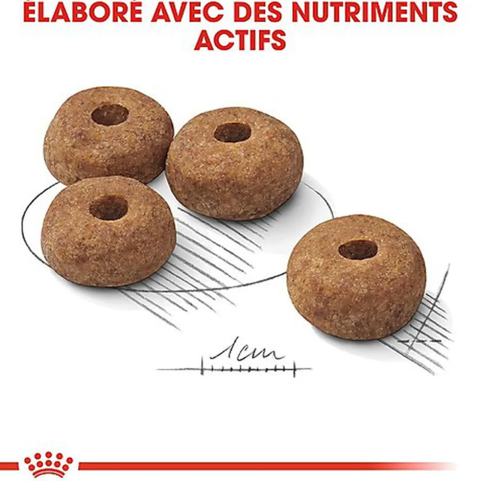 Royal Canin - Croquettes Medium Adult Sterilised pour Chien