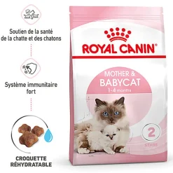 Royal Canin - Croquettes Mother & Babycat pour Chaton