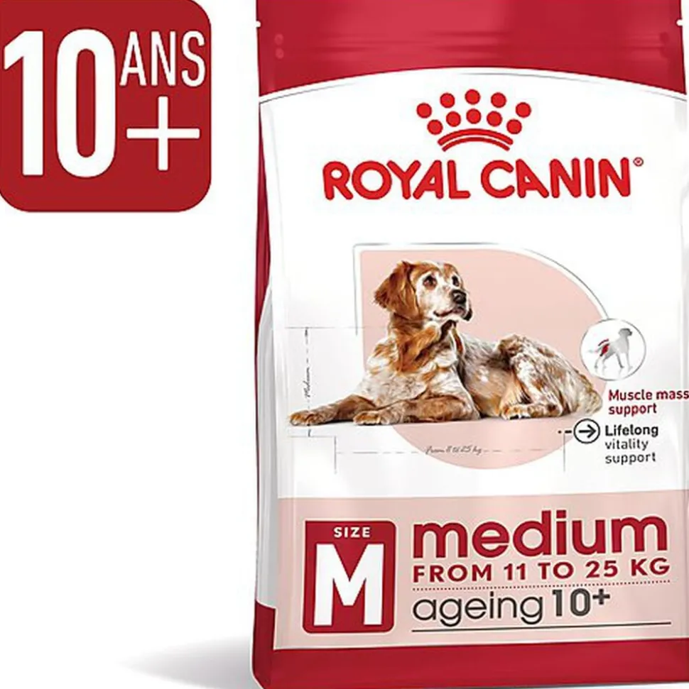 Royal Canin - Croquettes Medium Ageing 10+ pour Chien Senior