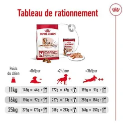 Royal Canin - Croquettes Medium Ageing 10+ pour Chien Senior