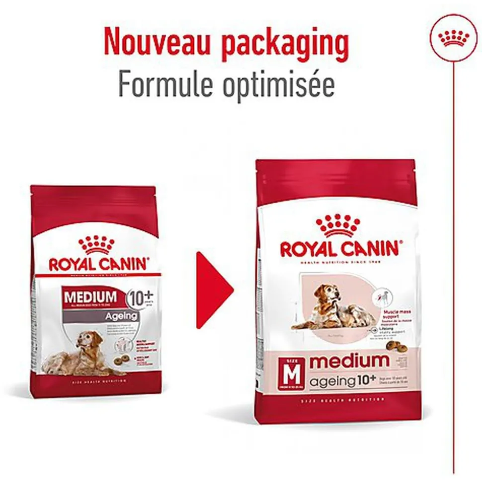 Royal Canin - Croquettes Medium Ageing 10+ pour Chien Senior