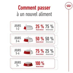 Royal Canin - Croquettes Medium Ageing 10+ pour Chien Senior