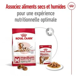 Royal Canin - Croquettes Medium Ageing 10+ pour Chien Senior