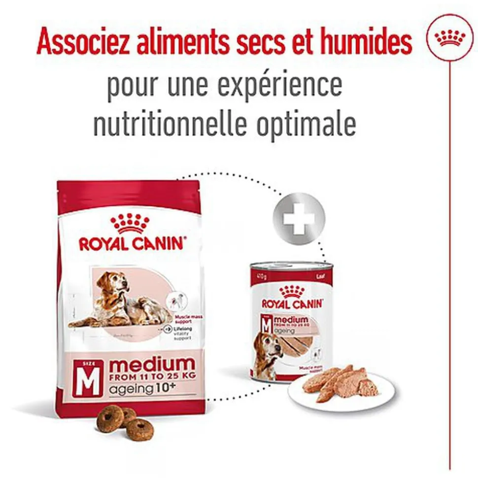 Royal Canin - Croquettes Medium Ageing 10+ pour Chien Senior