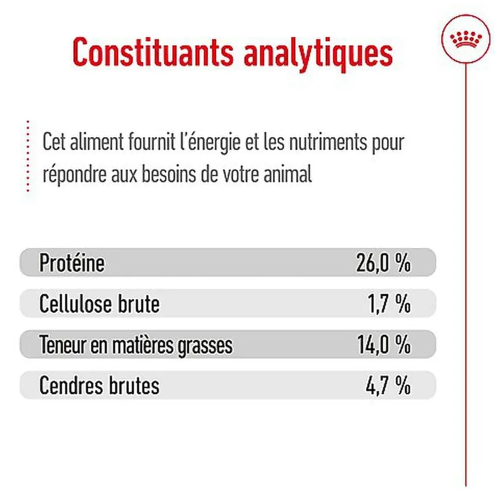 Royal Canin - Croquettes Medium Ageing 10+ pour Chien Senior