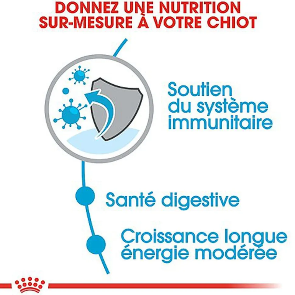 Royal Canin - Croquettes Maxi Puppy pour Chiot