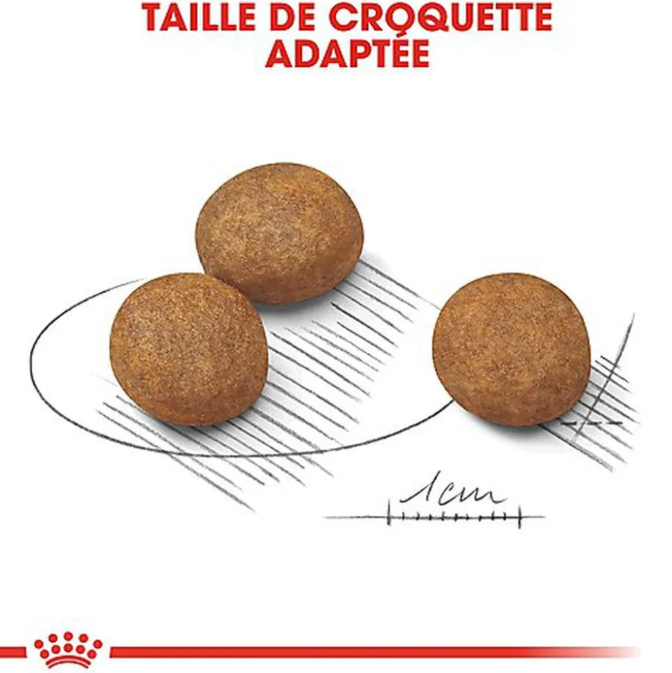 Royal Canin - Croquettes Maxi Puppy pour Chiot