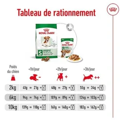 Royal Canin - Croquettes Mini Ageing 12+ pour Chien Senior