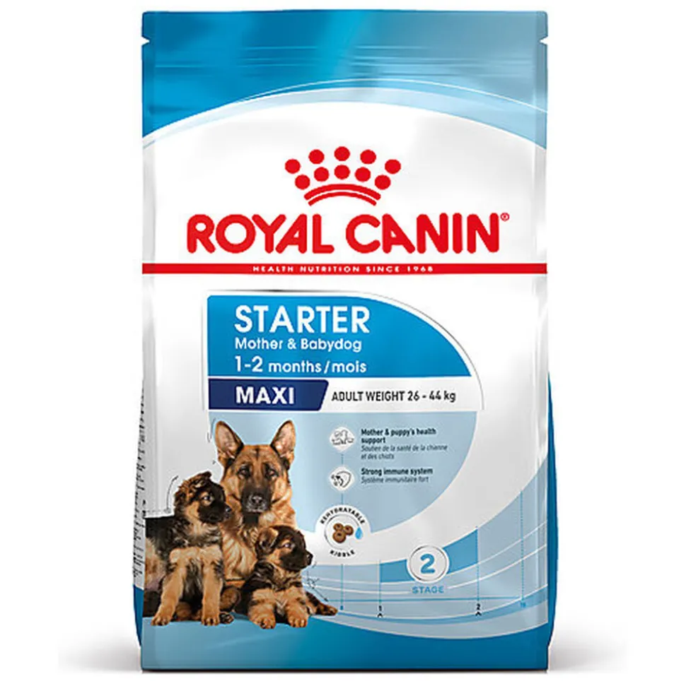 Royal Canin - Croquettes Maxi Starter Mother & Babydog pour Chiot
