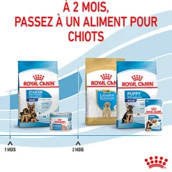 Royal Canin - Croquettes Maxi Starter Mother & Babydog pour Chiot