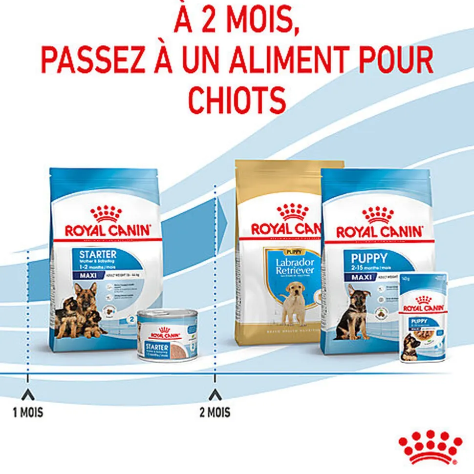 Royal Canin - Croquettes Maxi Starter Mother & Babydog pour Chiot
