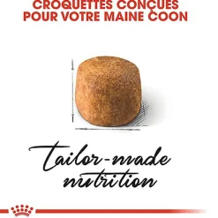 Royal Canin - Croquettes Maine Coon pour Chat Adulte - 4Kg