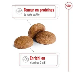 Royal Canin - Croquettes MEDIUM ADULT 7 POUR CHIEN DE +7 ANS - 10KG