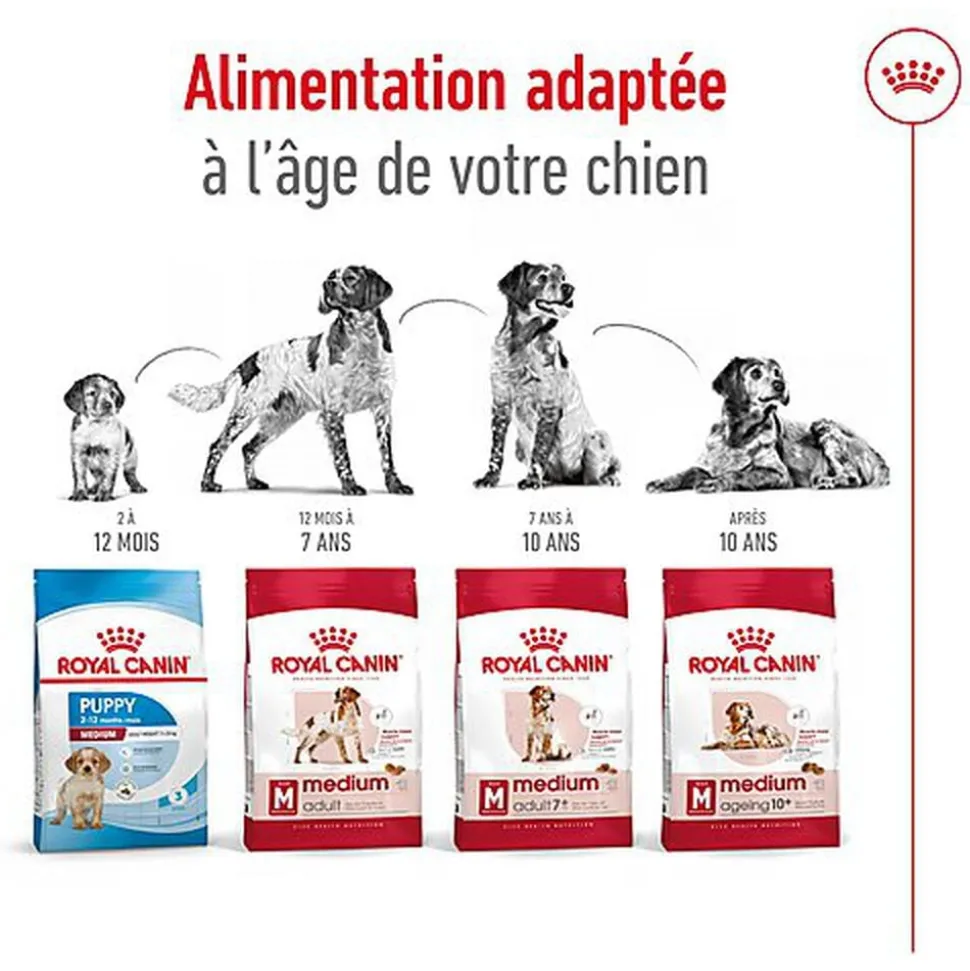 Royal Canin - Croquettes MEDIUM ADULT 7 POUR CHIEN DE +7 ANS - 10KG