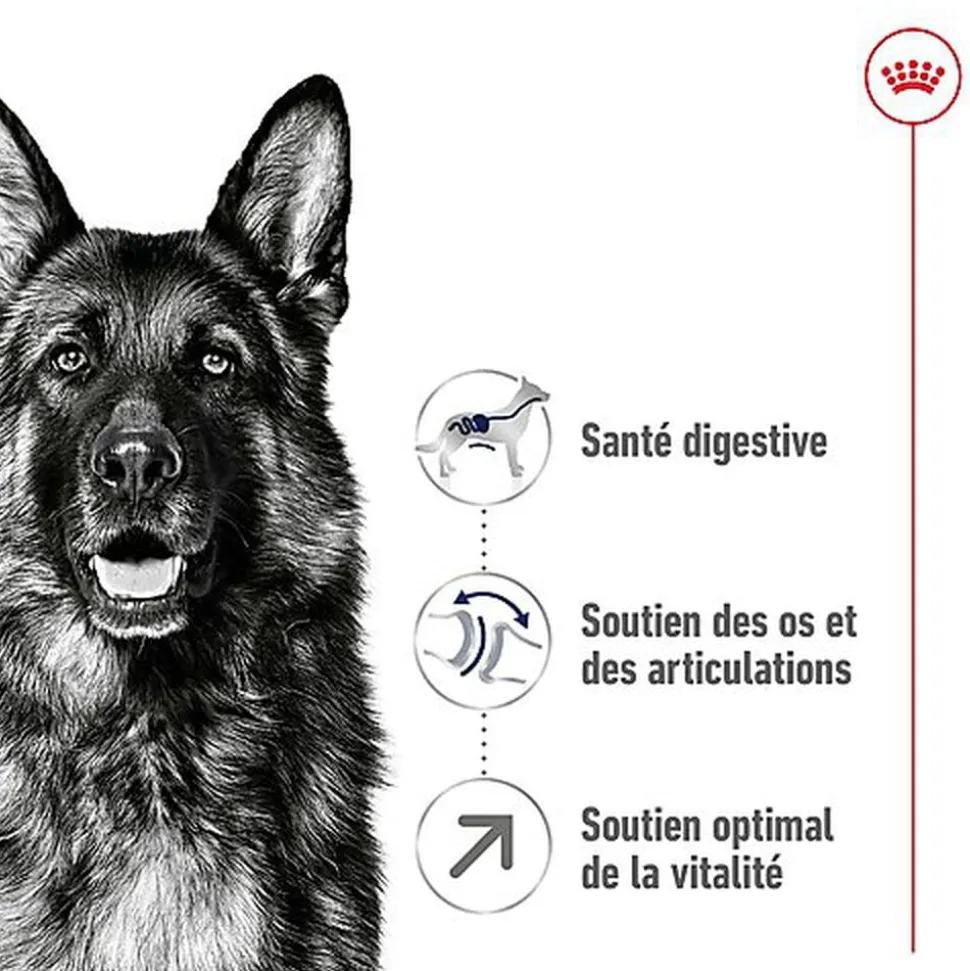 Royal Canin - Croquettes Maxi Adult 5+ pour Chien