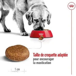 Royal Canin - Croquettes Maxi Adult 5+ pour Chien