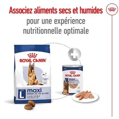 Royal Canin - Croquettes Maxi Adult 5+ pour Chien