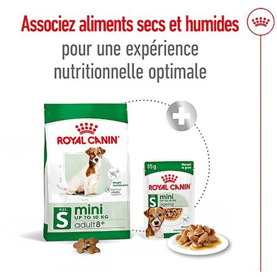 Royal Canin - Croquettes Mini 8+ pour Chien Adulte