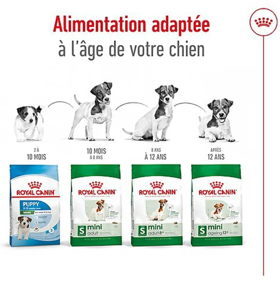 Royal Canin - Croquettes Mini 8+ pour Chien Adulte